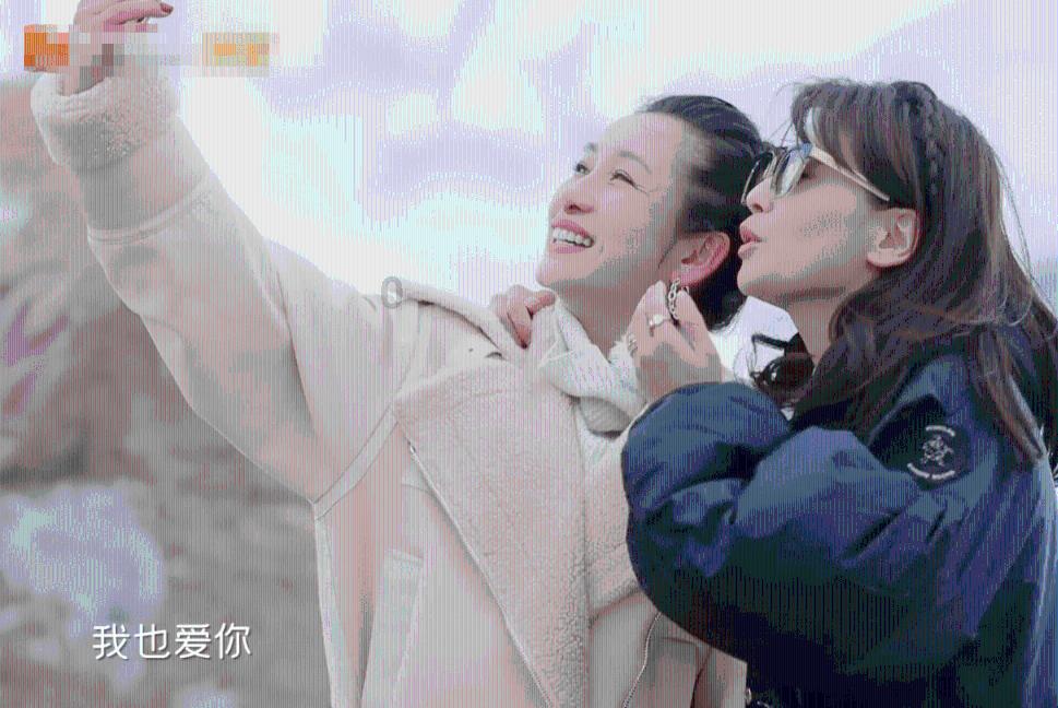看到狗狗被车撞会怎样